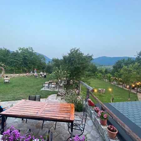 Vila Disha Тирана Екстер'єр фото