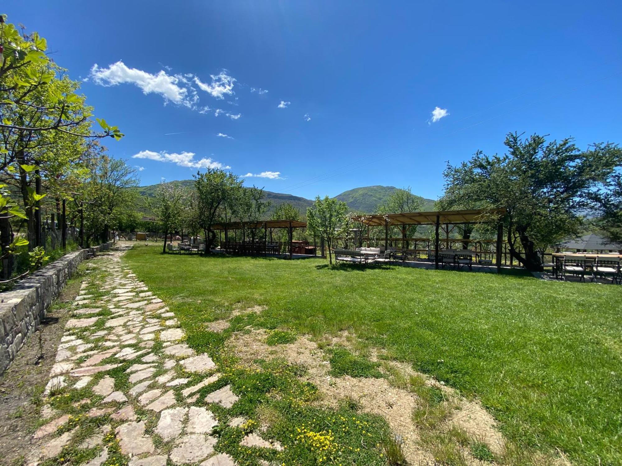 Vila Disha Тирана Екстер'єр фото