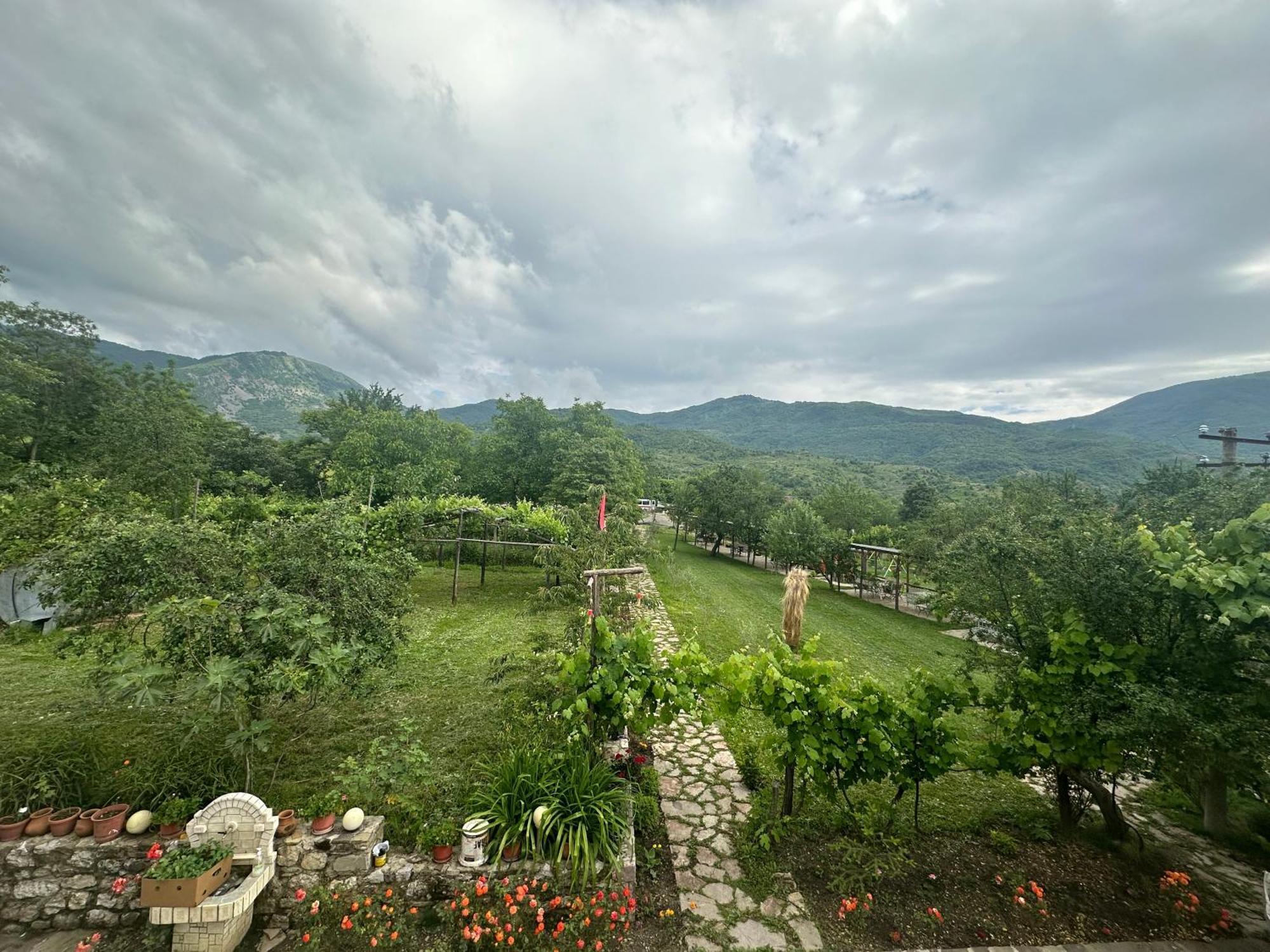 Vila Disha Тирана Екстер'єр фото