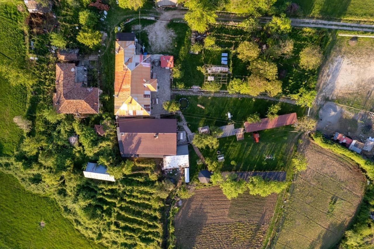 Vila Disha Тирана Екстер'єр фото