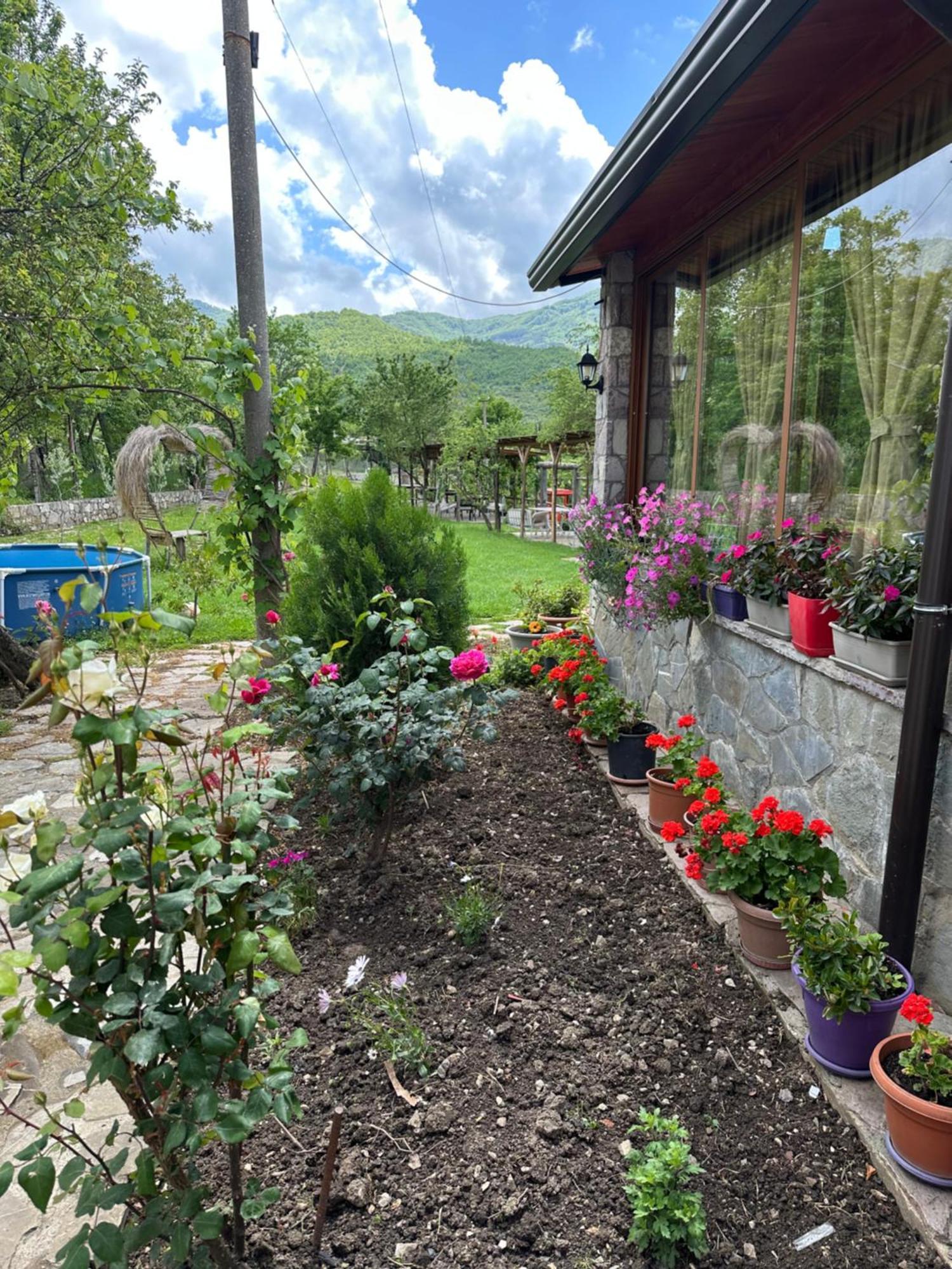 Vila Disha Тирана Екстер'єр фото